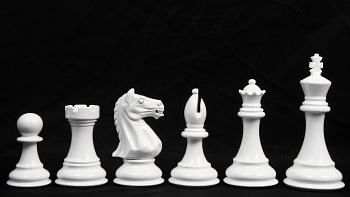 Slightly Imperfect The Staunton Series Chess Pieces Painted in Black & White Boxwood - 4.0" King