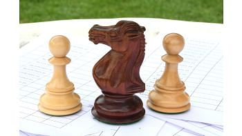 Combo of Knight & Pawns Chess Pieces in Bud Rosewood & Box Wood - 4.52" Knight.