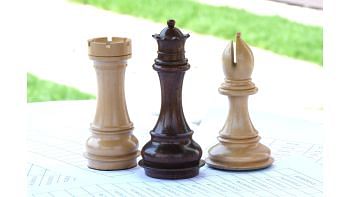 Combo of Paperweight Rook, Bishop & Queen Chess Pieces in Box Wood & Bud Rosewood - 5.1" Queen
