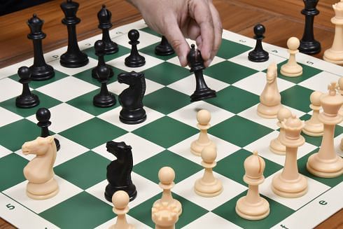 Unweighted Tournament Plastic Chess Pieces