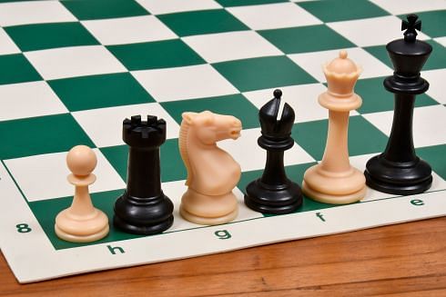 Plastic Chess Pieces in Dark and Light Color