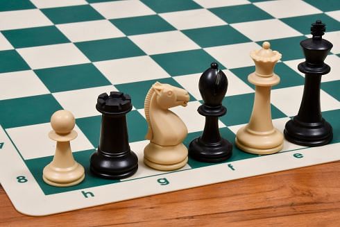 The Player Series Plastic Chess Pieces from chessbazaar