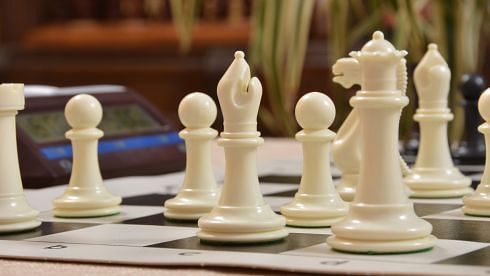 Ivory White Plastic chess pieces