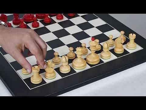 Medium Exclusive Analysis Chess Set with Case