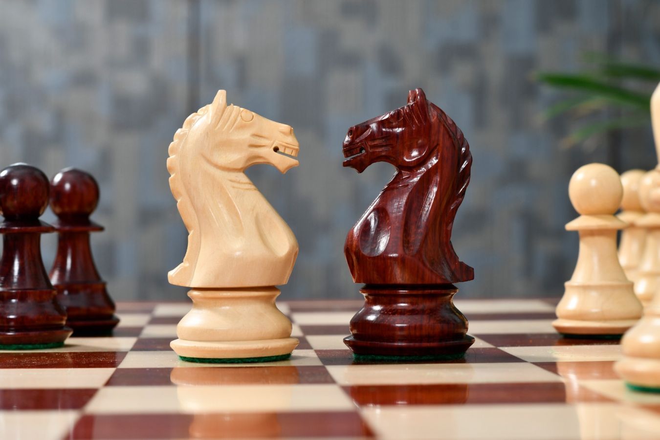 Fierce Knight Staunton Series Chess Pieces | Chess Bazaar