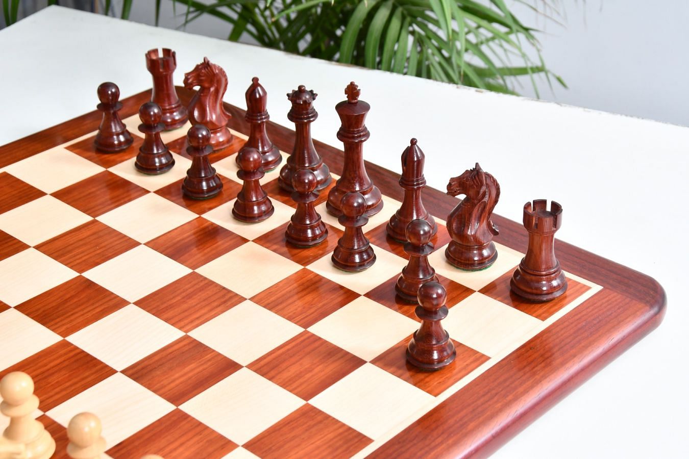 sale! Beer Chess パーティー Goods チェス Deluxe Old Club Staunton Chess Set Burnt Boxwood Pieces with