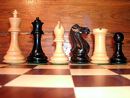 My new custom (ordered & painted) chess set - Chess Forums 